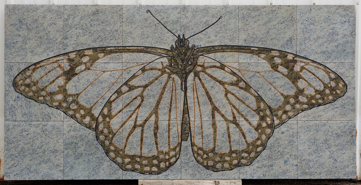 Engraving: Monarch Butterfly